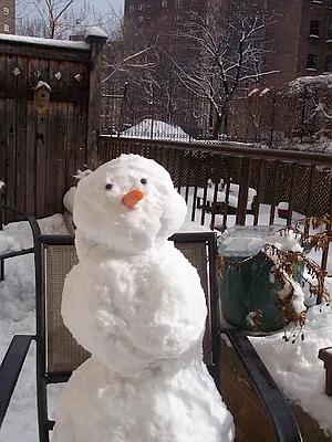 Rented by Owner | media 23