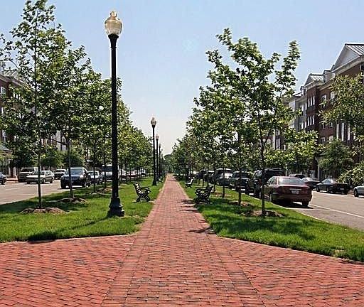 Street in the community