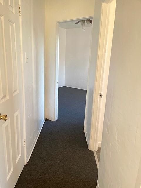 Hallway- the door to the Left opens up to a Large walk in closet, the door to the Right is the Bathroom