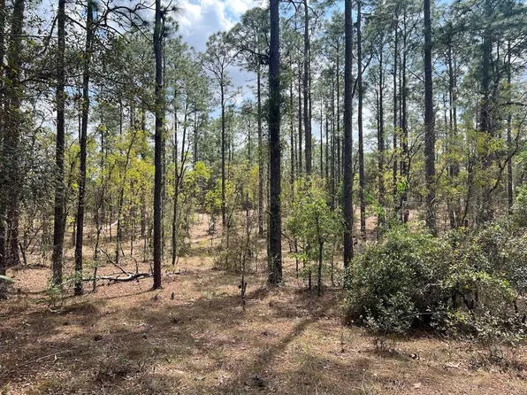 SE 10th St, Williston, FL 32696