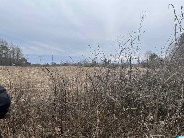 7280_25B Highway 62 #25B, Vincent, AL 35178