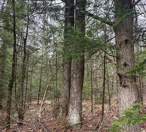 3rd image of 0 Old North Road