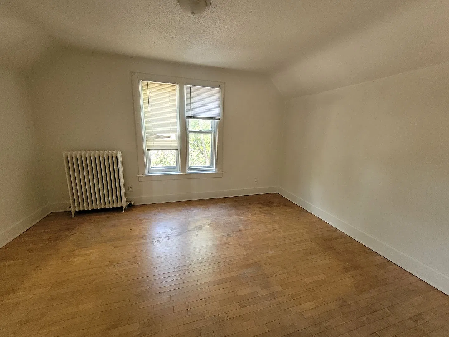 lm1302 — Photo 3