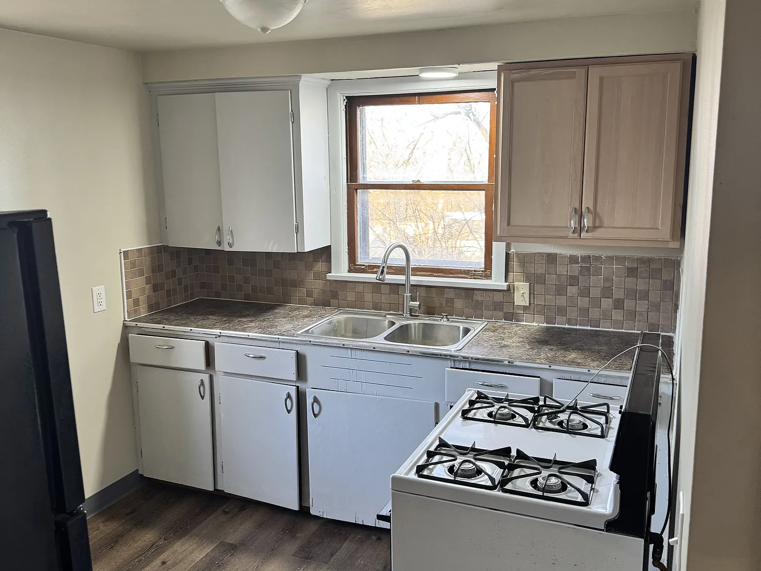 1 bed, $800 — Photo 2
