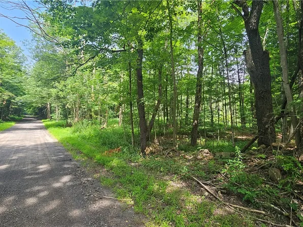 (undisclosed Address), Camden, NY 13316