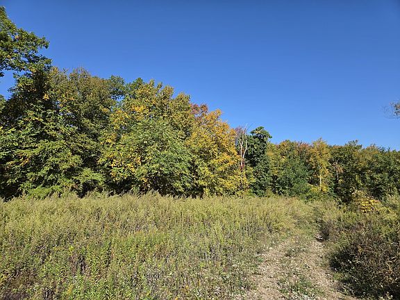 5th image of LOT 5A South Rd