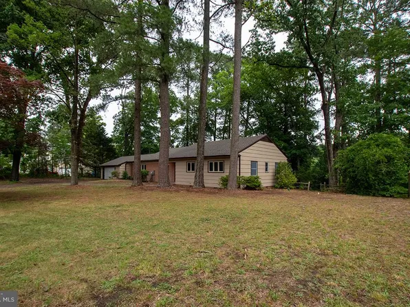 8539 E Marlboro Dr, Delmar, MD 21875