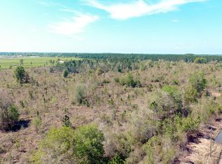 0 Rhine Rd, Alma, GA 31510