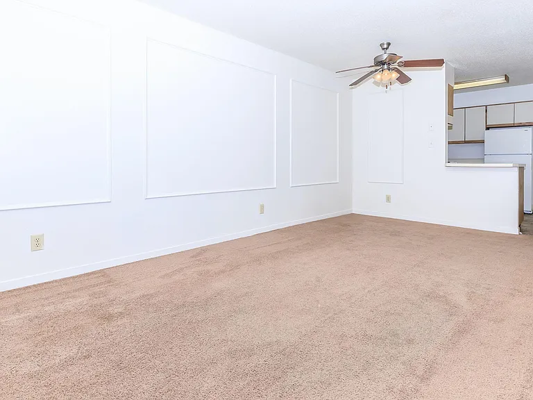 1 Bed 1 Bath
