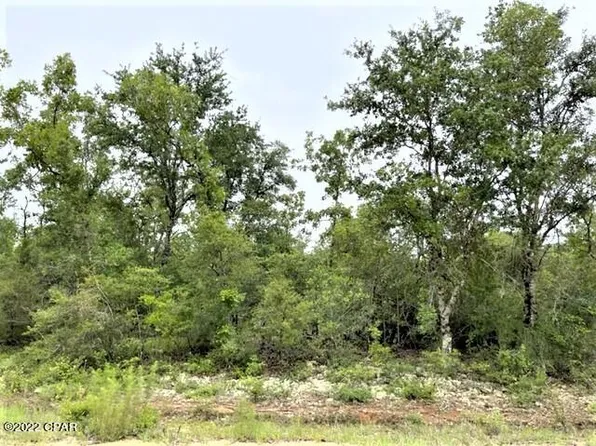 0 Wells St, Alford, FL 32420