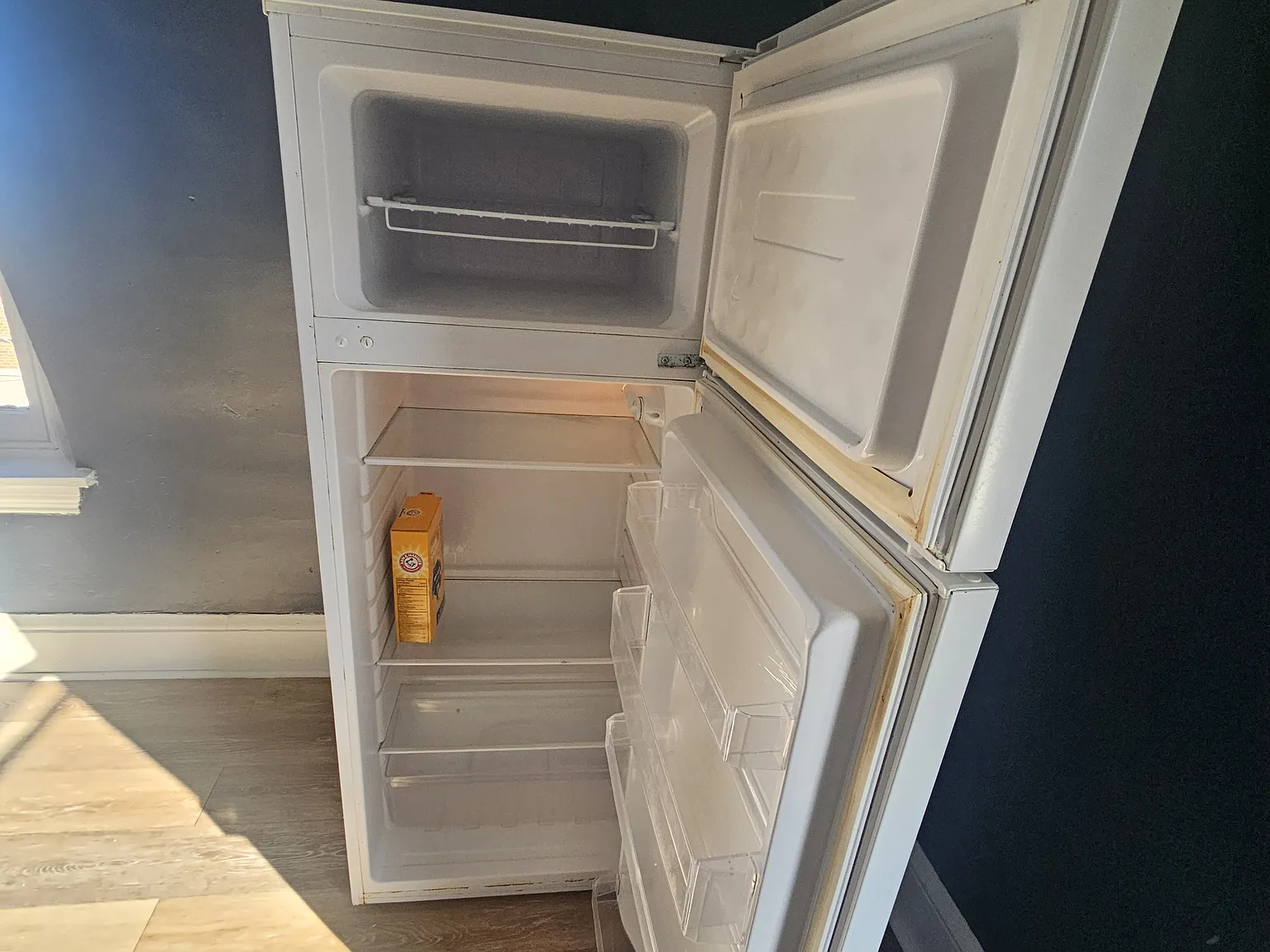 1 bed, 800 sqft, $995 — Photo 4