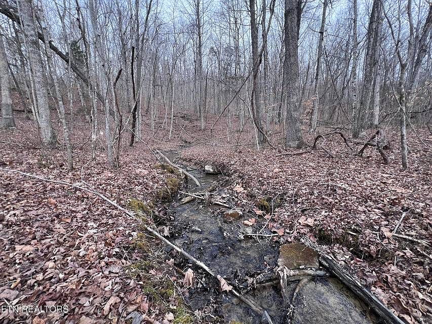 1st image of 0 Buffalo Cove Rd