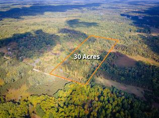 10396 E 24th St, Reed City, MI 49677