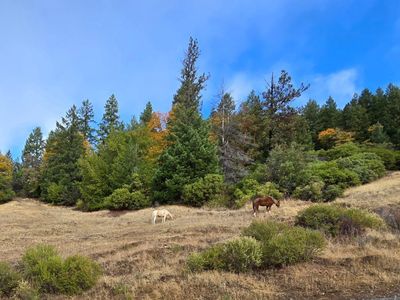 32120 Shimmins Ridge Road, Willits, CA, 95490