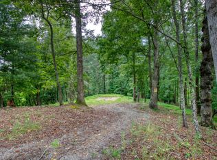 216 Toccoa River Forest Ln, Mineral Bluff, GA 30559