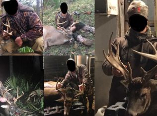 298 Crescent Rd, Gilbert, LA 71336