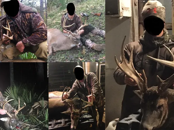 298 Crescent Rd, Gilbert, LA 71336