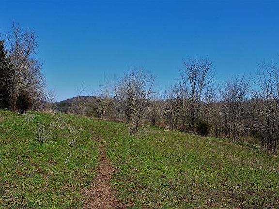 Pasture area along the upper eastern slopes