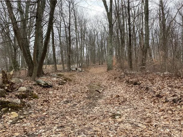 LOT 4 Shoddy Mill Road, Andover, CT 06232
