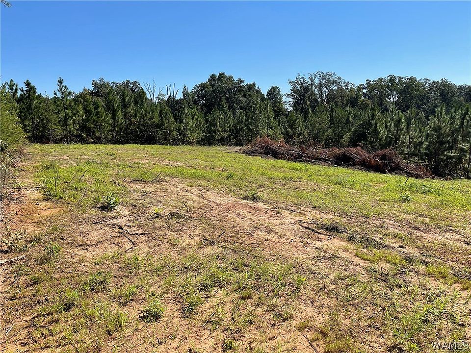 2nd image of 1 Watermelon Rd