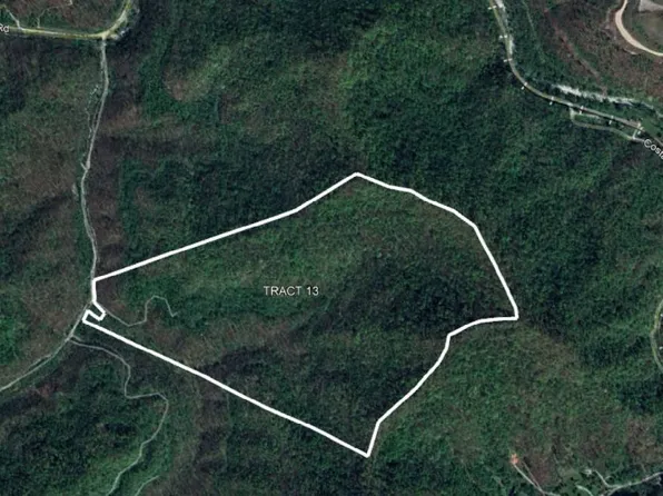 0 Honey Camp Rd, Nellis, WV 25142