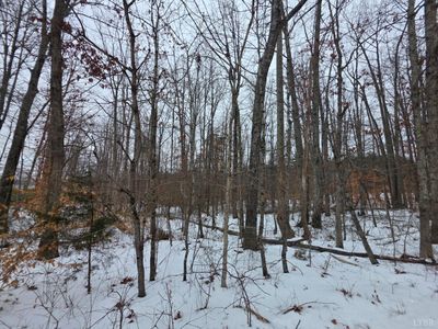 0 Piney Ridge Rd, Pamplin, VA, 23958