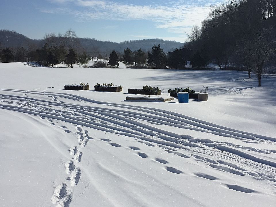 View towards the road