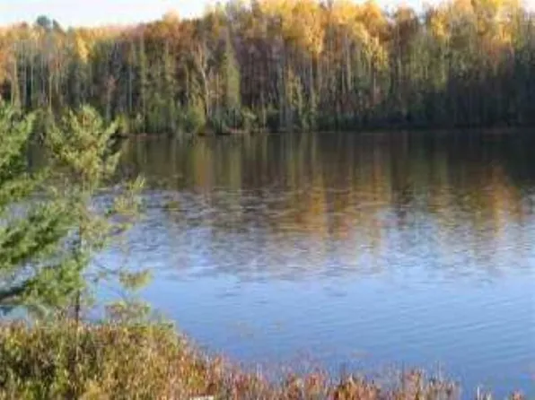 Near Headflyer Lake Rd, Lac Du Flambeau, WI 54538
