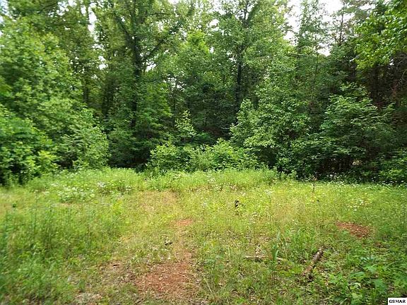 4th image of 24262432 Dairy Rd