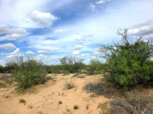 Sands St, Imperial, TX 79743