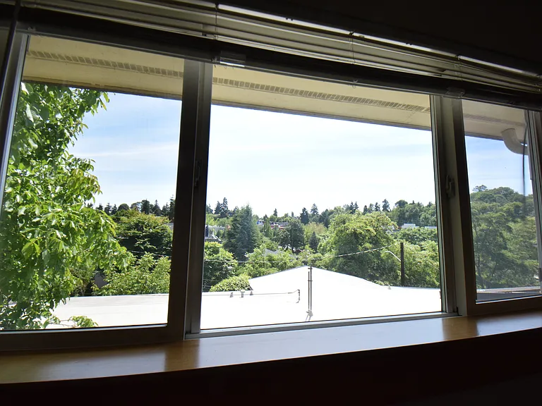South bedroom window, looking south
