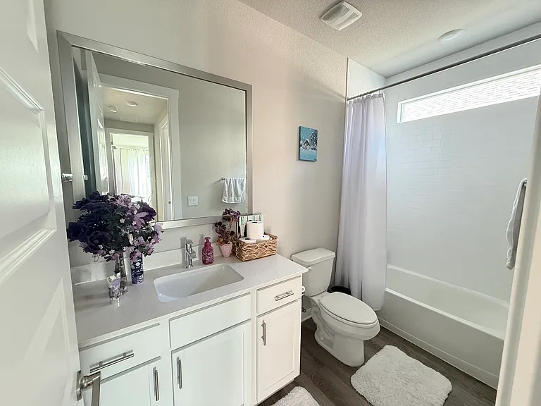 Bottom Floor Guest Bathroom