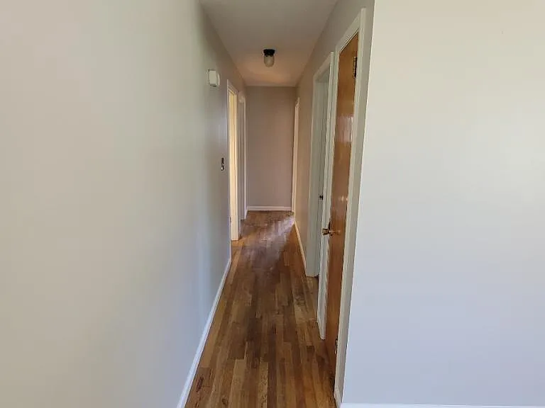 3913 Alan Dr — Photo 4
