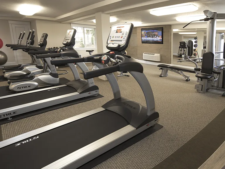 Explore Stonegate Apartments