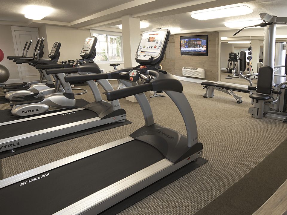 Explore Stonegate Apartments