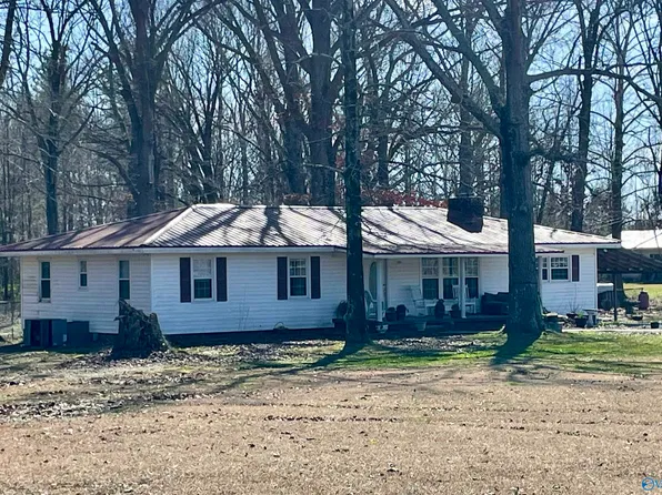 11778 County Road 236, Moulton, AL 35650