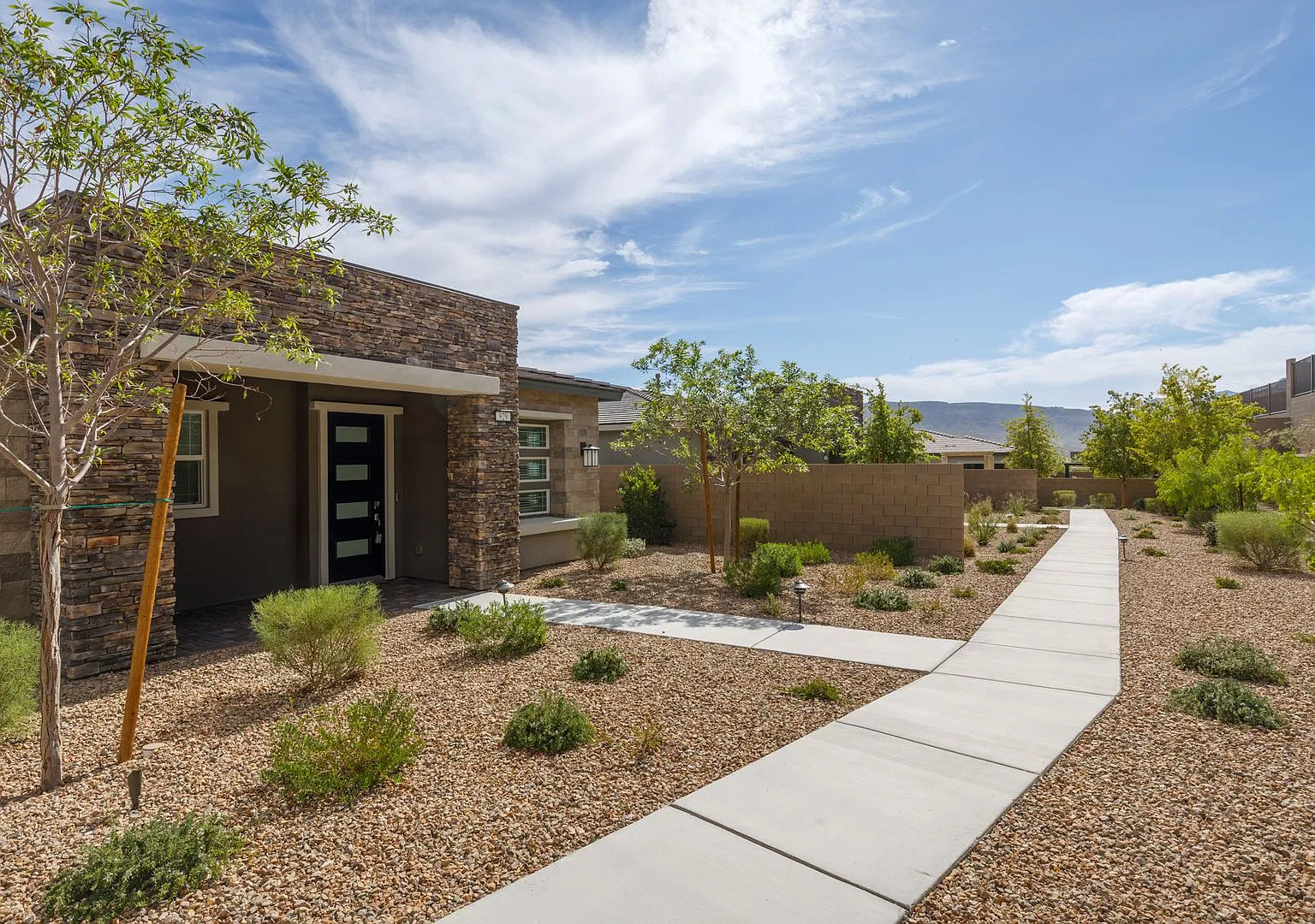 Brand new luxury home in upscale 55+ community — Photo 3