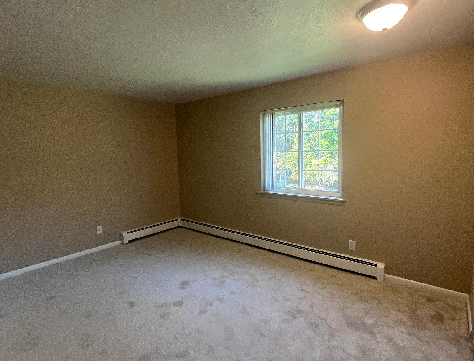 2 bed, 725 sqft, $1,000 — Photo 4