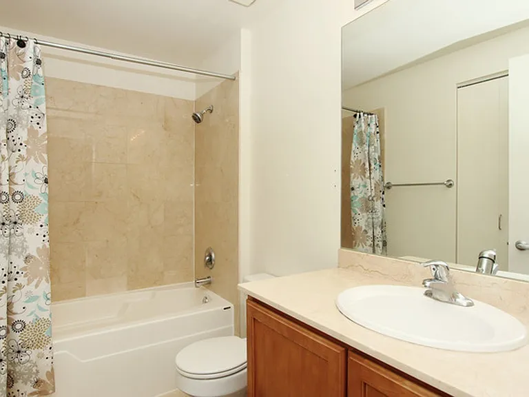 210 S Des Plaines #1709 — Photo 9
