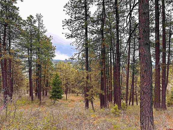 2nd image of 281,299,317 Pineway Drive
