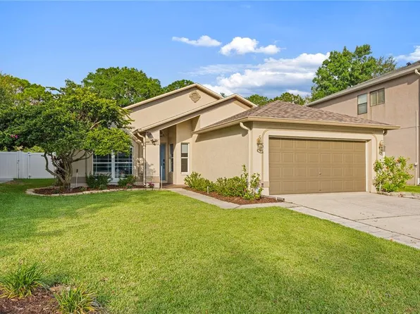1623 Gray Bark Dr, Oldsmar, FL 34677