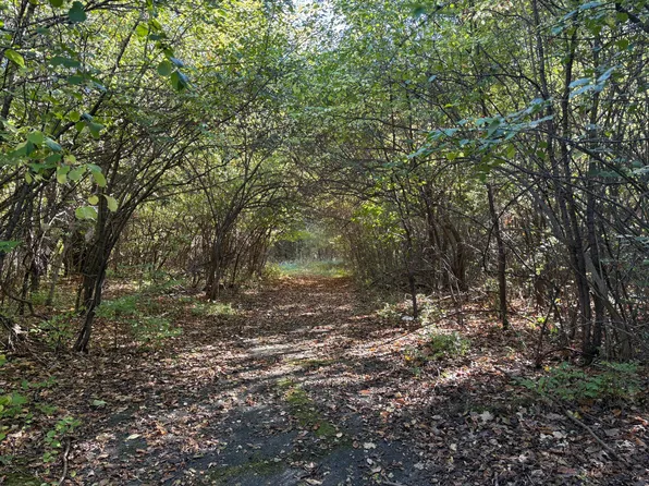 Vl 40 Clinton Way, Jackson, MI 49201