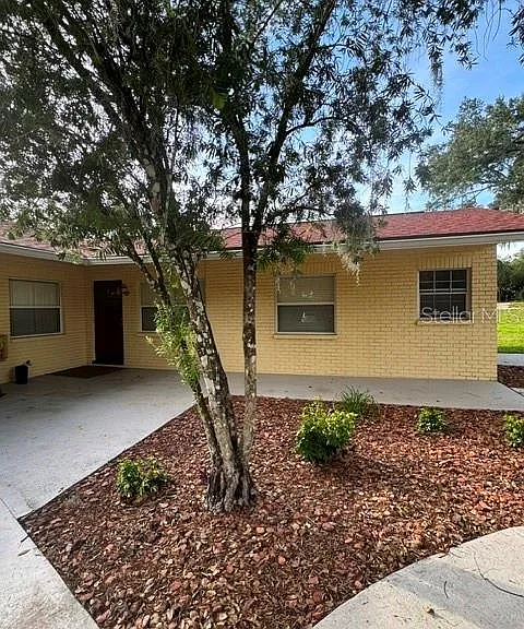 37623 Camphor Dr — Photo 1