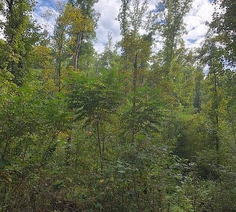 2nd image of 0 Highway 438 W
