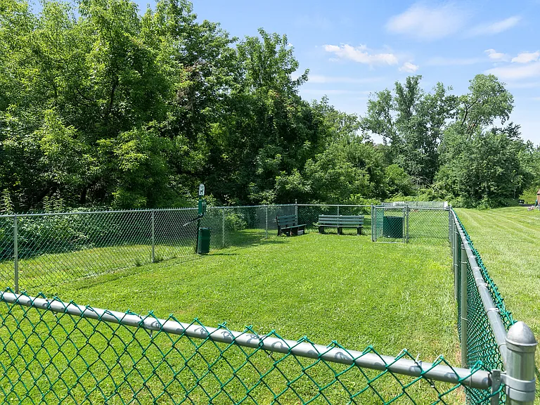 Off-Leash Dog Park