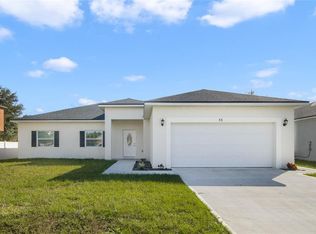 55 Peterlee Ct, Kissimmee, FL 34758