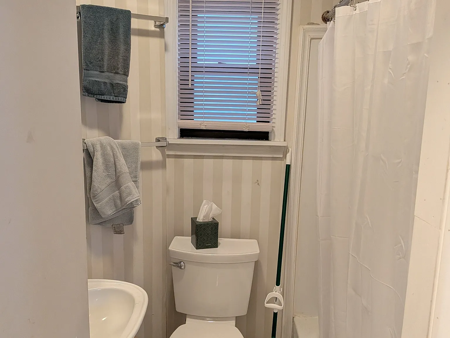 14 Skehan Street - 1 — Photo 2
