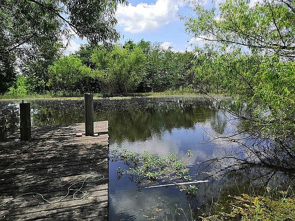 pond full