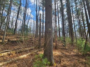 Panorama Dr Lot L-12, Todd, NC 28684