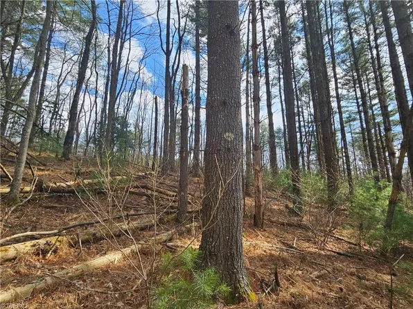 Panorama Dr Lot L-12, Todd, NC 28684